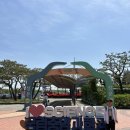 참사이언스 | 대전 국립중앙과학관 사이언스데이 이튿날 방문 후기 : 체험부스 부터 이벤트까지 즐거움 가득!