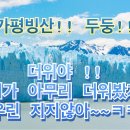 가평 WING'S 태권도장 이미지