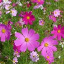 와초리농장 이미지