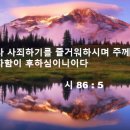 선하사 이미지