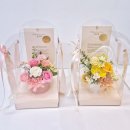 꽃그리다바이엘라 이미지
