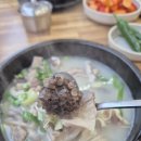 둥지순대국 이미지