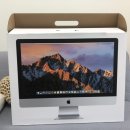 명리학(초급) | 2025년 2학기 원디대 동양학과 기말 후기