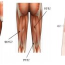 몬스터짐 이미지