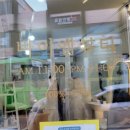 네일509 이미지