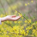 3월 문화예술아카데미 이미지