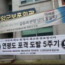 연평도 포격 도발 5주기 현수막 게첨 및 고 김영삼 대통령 서거 조기게양 이미지