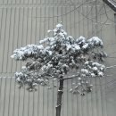 일우 이미지
