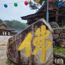 정선초등학교 | [여행] 영월+정선 1박2일 여행 기록(2025.05.03~2025.05.04)