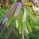 한국남부발전(주)(부산역 선상 주차장 태양광발전소) | 그린 뉴딜 사업에 2025년까지 3조8000억원 투자