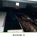 영천시-금노동-1