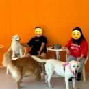 백옥대로730번길 이미지