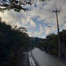 괴목민박 이미지