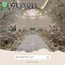 충청대로 | 청주 웨딩홀 메리다웨딩컨벤션 홀투어 후기