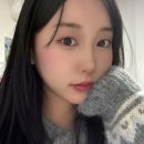 데일리 피쉬 | 폰피쉬 단독 입점 레이렌즈 로뮤 원데이 컬러렌즈 3종 후기