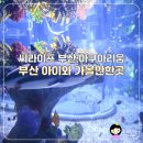 [부산 아이와 가볼만한곳] 해운대 씨라이프부산 아쿠아리움 할인예약 꿀팁