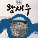 다솜바이오 이미지