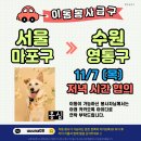 옹심/11월7일/서울마포＞수원영통/시간협의 이미지