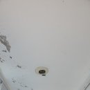 상일바이오 이미지