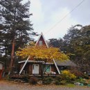 평창 솔섬오토캠핑장 할로윈캠 놀거리가득 비와함께 리얼후기