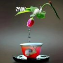 건행 이미지