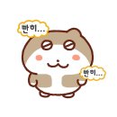 원곡주유소 | 24.03.03. 和ぬか: Wanuka Live in Korea 후기