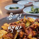 용인 백반 맛집 쭈꾸미와 청국장까지 가성비식당 밥엔청국장