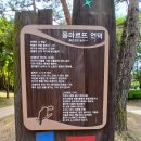 서울 강남 명품숲길,,,,, 이미지