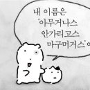 인제주카페 이미지