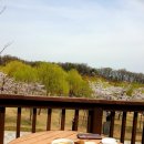 꿈의숲 라포레스타 이미지