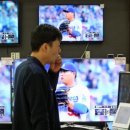 펫코랜드 이미지