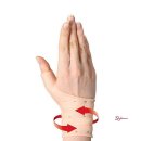 셀컴퍼니 이미지