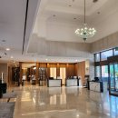 Blossom for you | 서울 호텔 추천, 김포공항 근처 호텔 메이필드 호텔 MAYFIELD HOTEL SEOUL