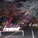 애월이오 이미지