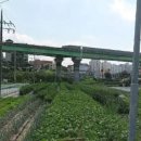 광혜원면행정복지센터 네이버블로그