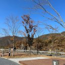 백석탄골부리캠핑장 이미지