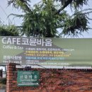 코뮨바움