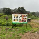 우보농장 | [더피커 x 우보농장] 토종쌀 탈곡 후기