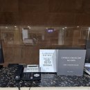속초 델피노 애견동반 펫플렌들리 스위트객실후기 속초울산바위벚꽃