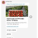 딸기품은농장