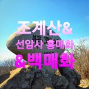 선암사매표소_매표소 | ◆ 조계산 장군봉과 선암사의 홍매화, 백매화(1)/블랙야크 명산100 &amp; 산림청100대 명산