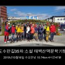 소설 태백산맥 문학기행길 이미지