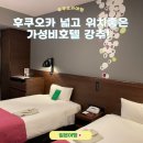 미야옷장 | 후쿠오카 가성비호텔 넓고 위치좋은 숙소 '호텔몬테에르마나'