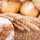 보리은백한의원 이미지