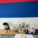 도기다이닝 이미지