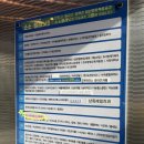 주희네식당 | 안산 애견미용 월피동 강아지 미용실 댕기세요 내돈내산 후기