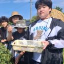 내미농박