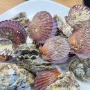 대우수산식당 | [수원/권선동] 농수산물시장 "대우수산" 대게 구입 &amp; 2층 초장집