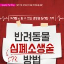 운정힐링동물병원 이미지