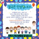 용인대 나라찬 태권도 이미지